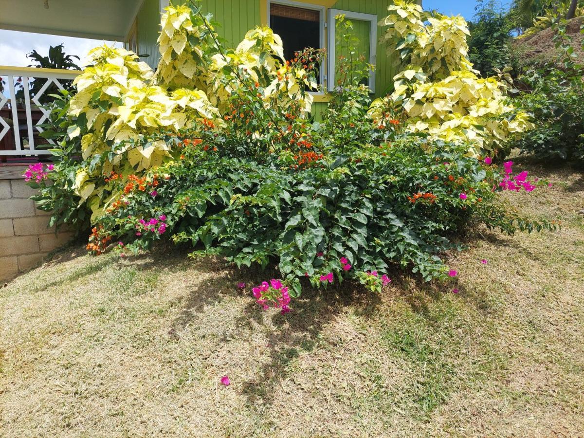 Diamond View Cottages Ροζό Εξωτερικό φωτογραφία